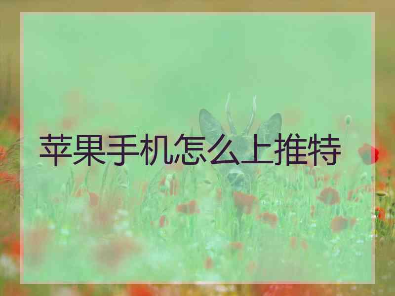 苹果手机怎么上推特