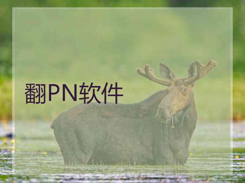 翻PN软件
