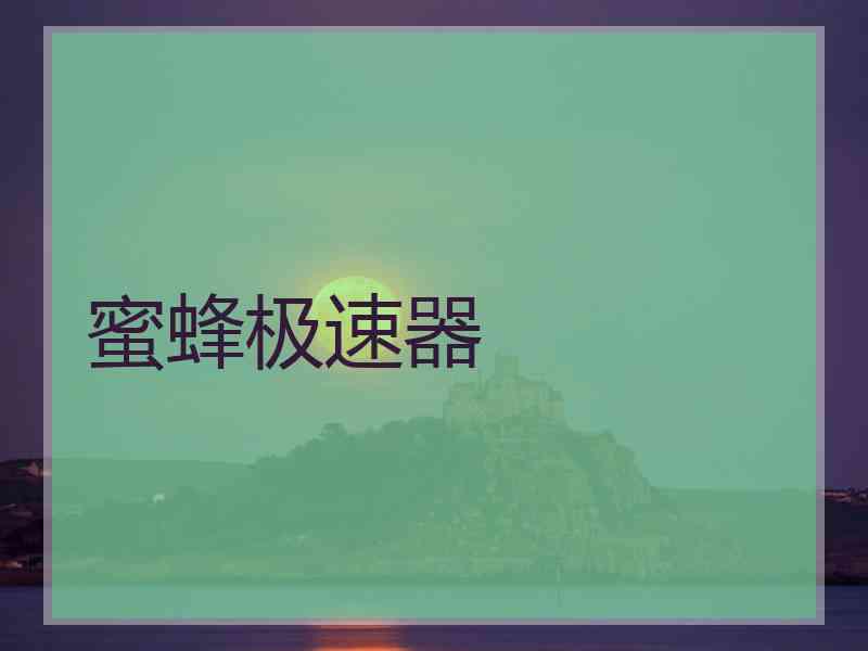 蜜蜂极速器