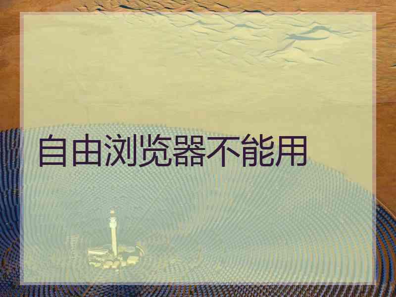自由浏览器不能用