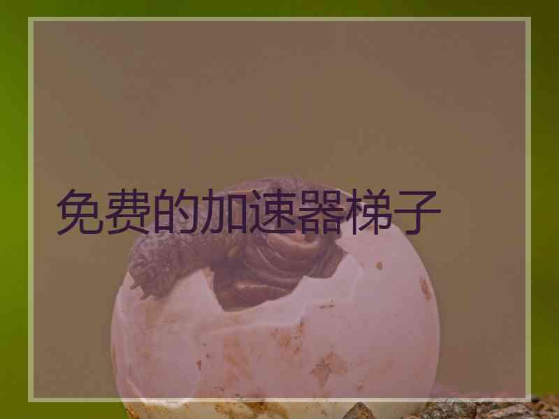 免费的加速器梯子