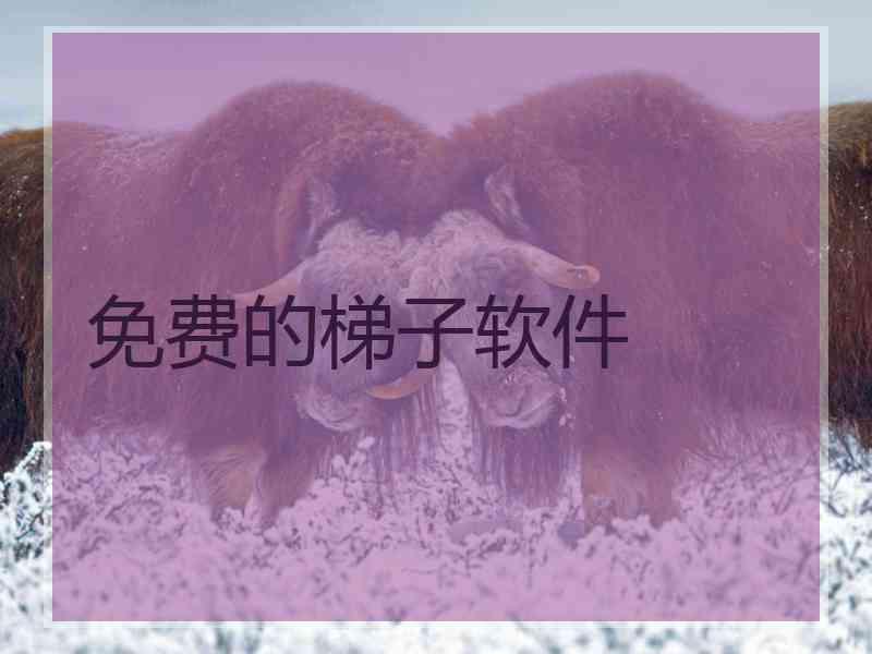 免费的梯子软件