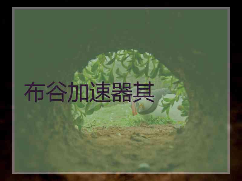 布谷加速器其