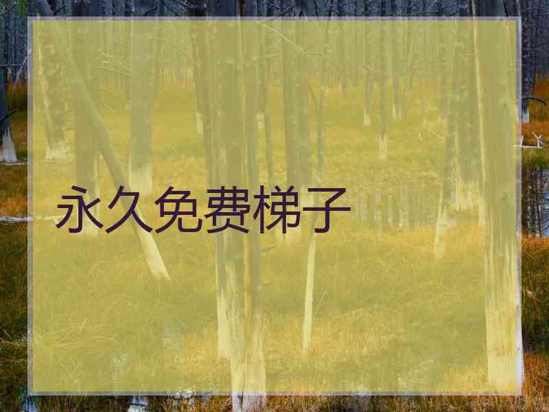 永久免费梯子