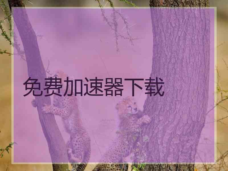 免费加速器下载