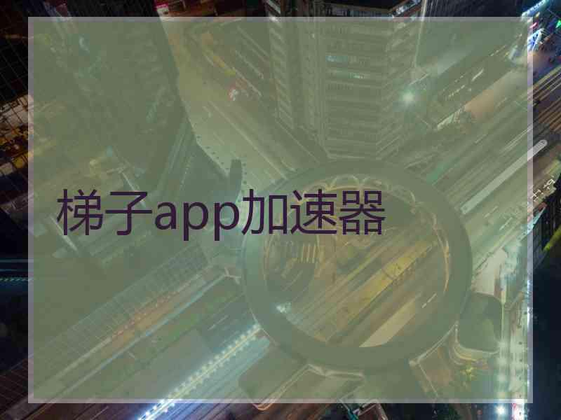 梯子app加速器