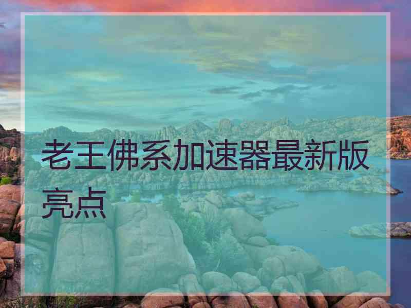 老王佛系加速器最新版亮点