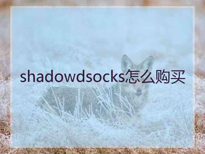 shadowdsocks怎么购买