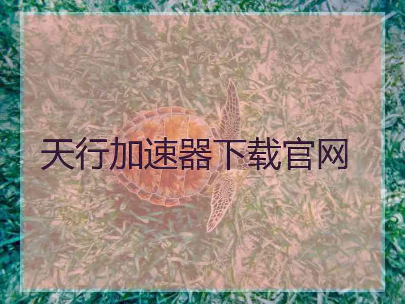 天行加速器下载官网