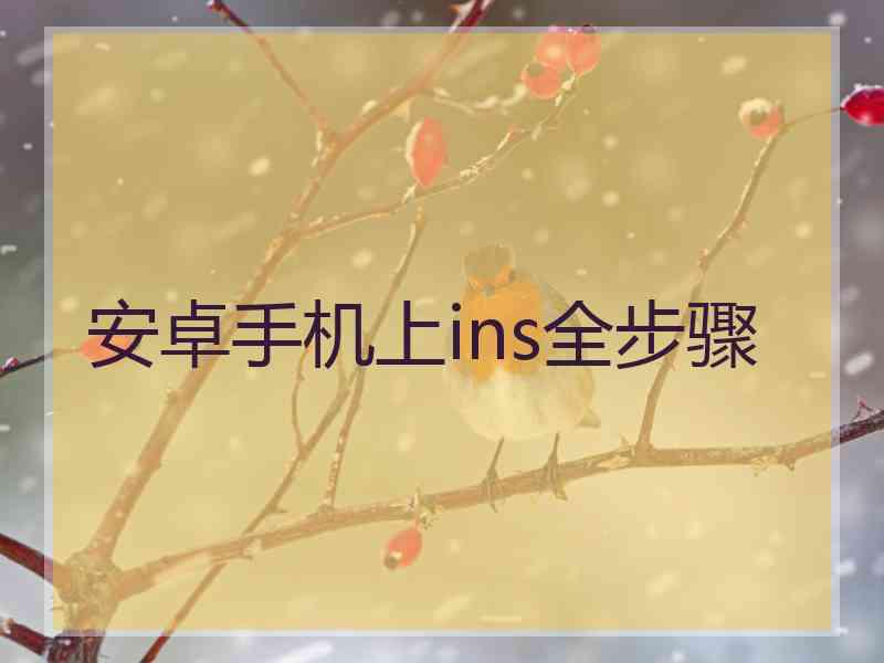 安卓手机上ins全步骤
