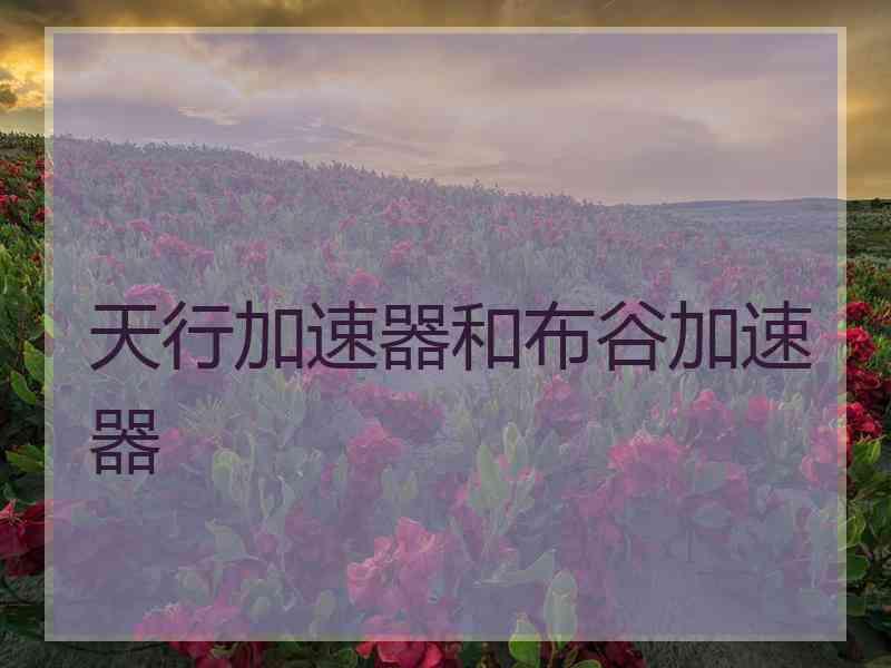 天行加速器和布谷加速器
