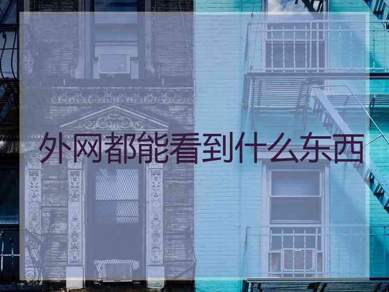 外网都能看到什么东西