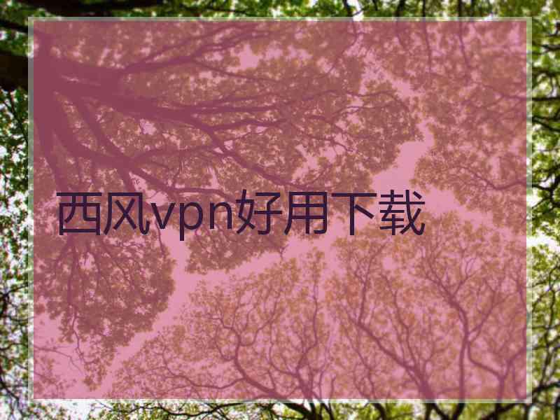 西风vpn好用下载
