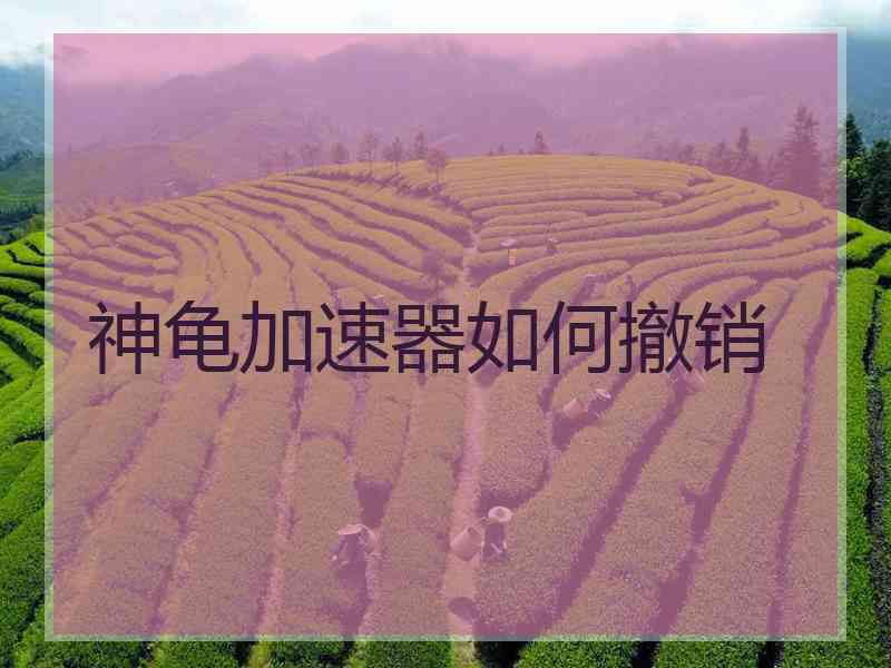 神龟加速器如何撤销