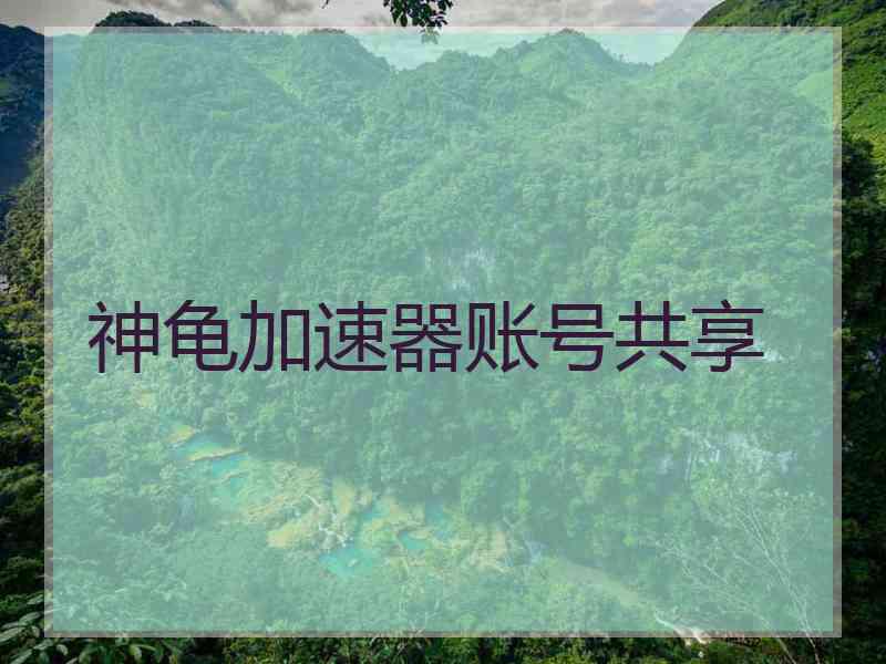 神龟加速器账号共享
