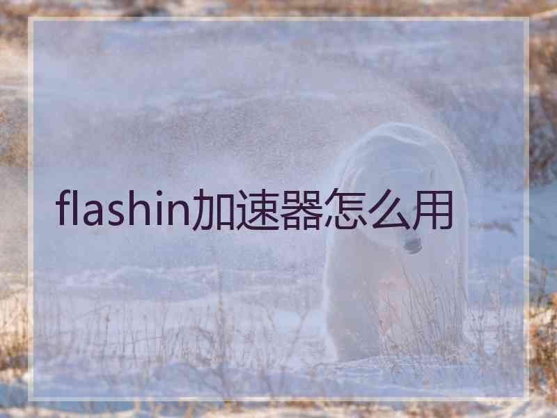 flashin加速器怎么用