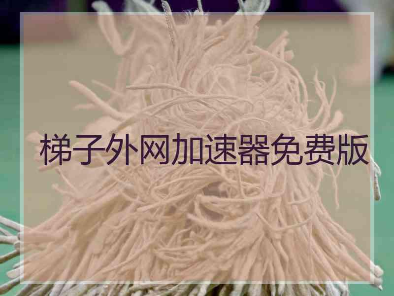 梯子外网加速器免费版