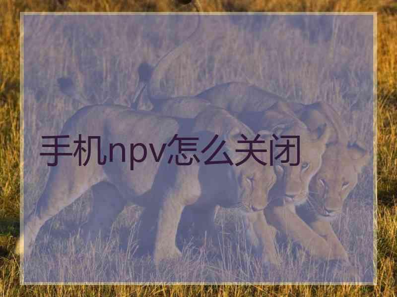 手机npv怎么关闭