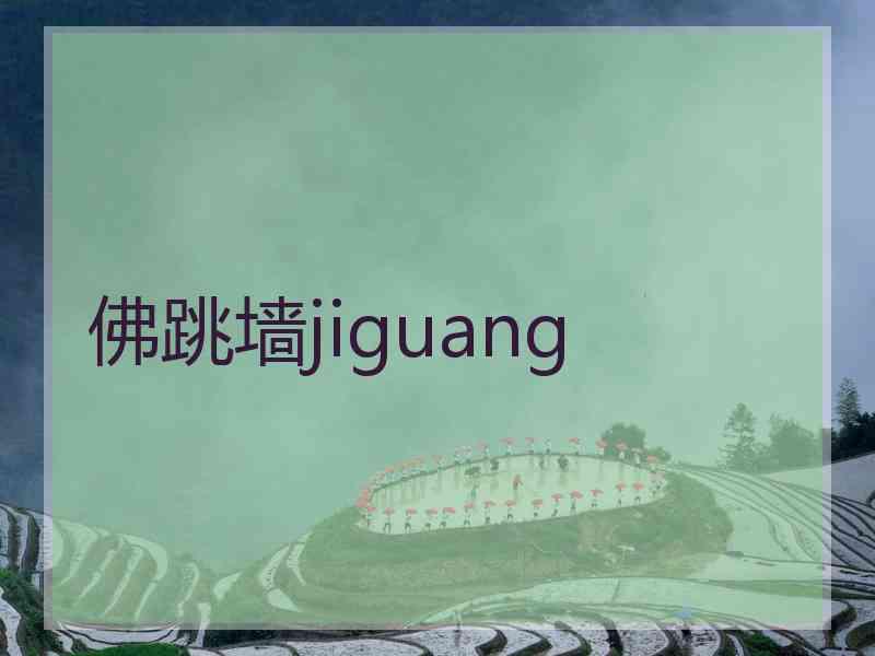 佛跳墙jiguang