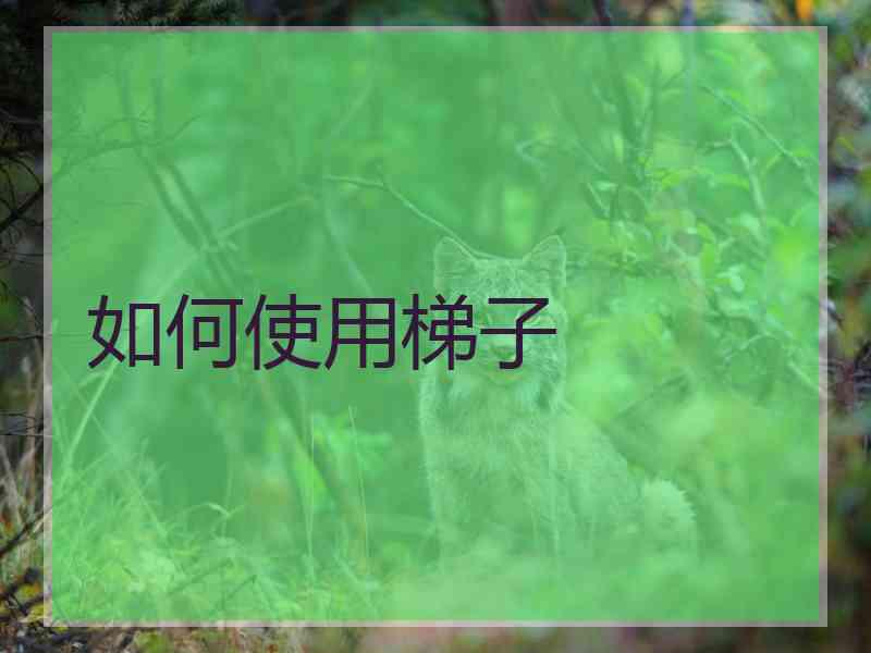 如何使用梯子