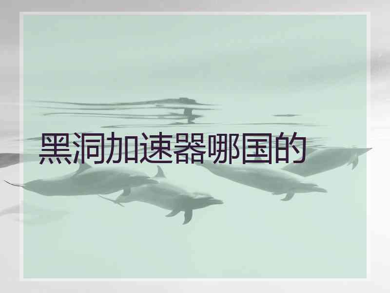 黑洞加速器哪国的