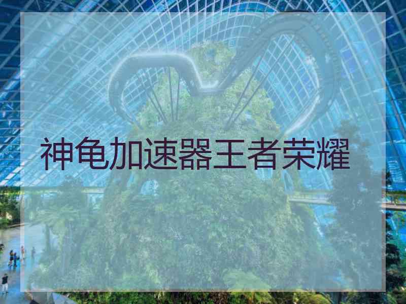 神龟加速器王者荣耀