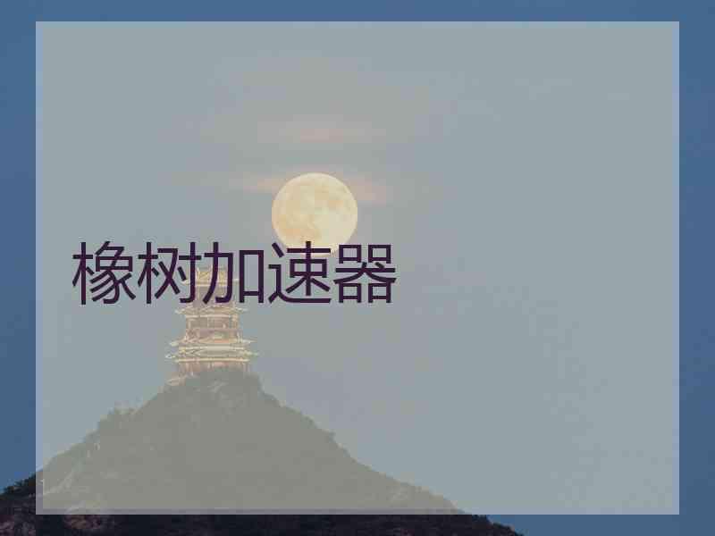 橡树加速器