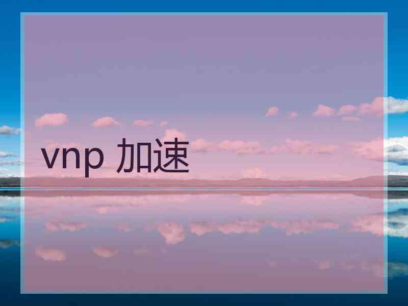 vnp 加速