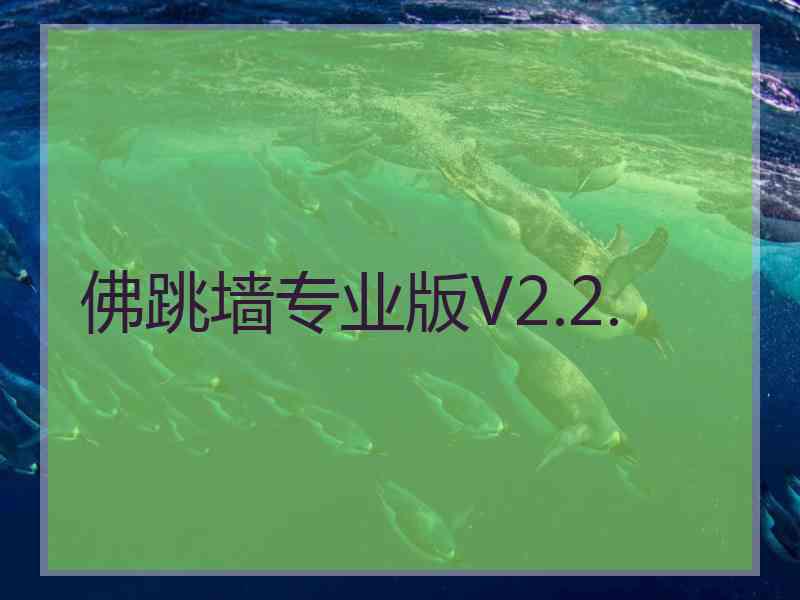 佛跳墙专业版V2.2.