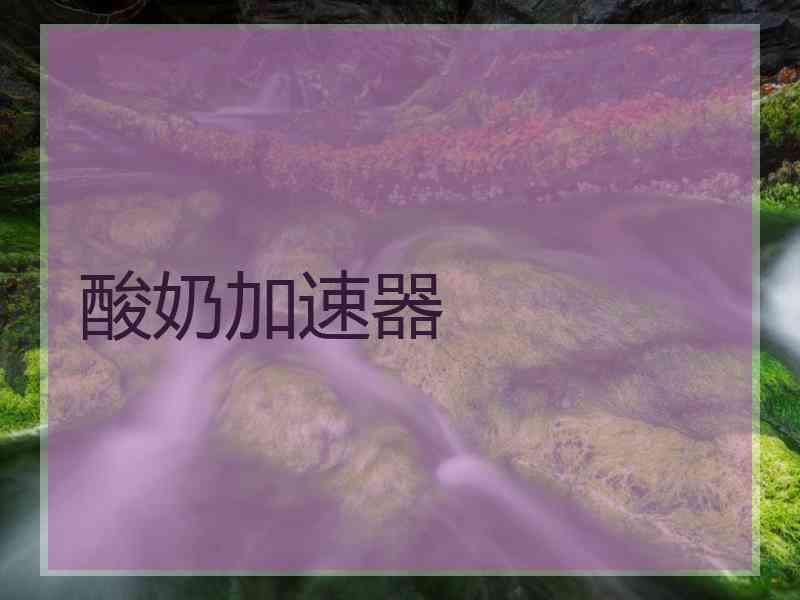 酸奶加速器