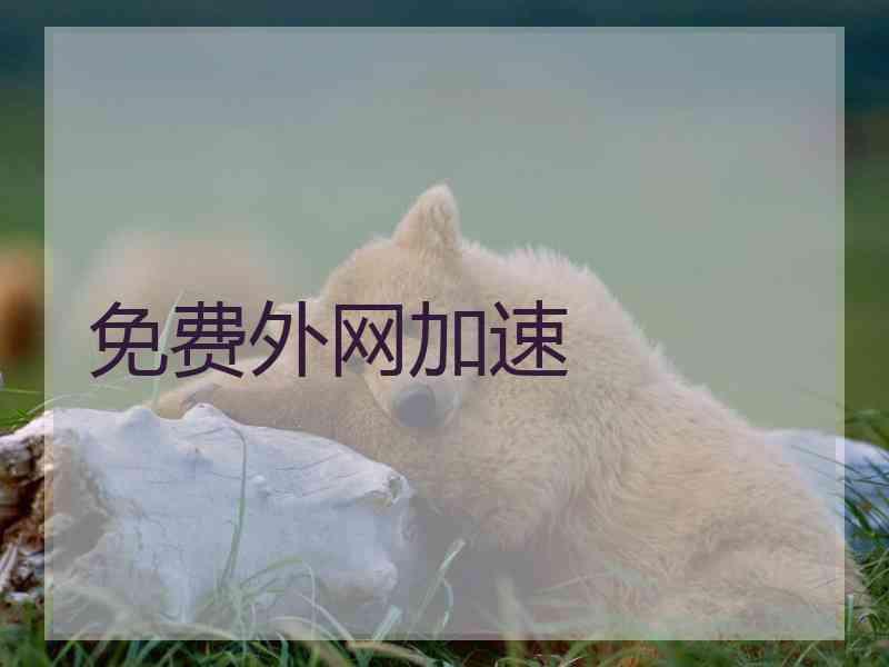 免费外网加速