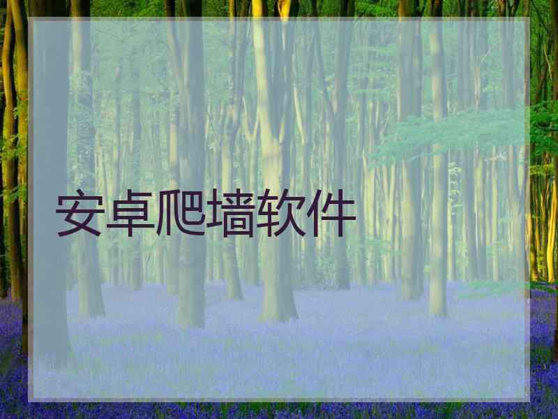 安卓爬墙软件