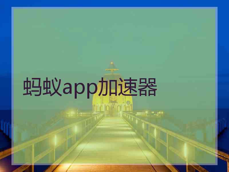 蚂蚁app加速器