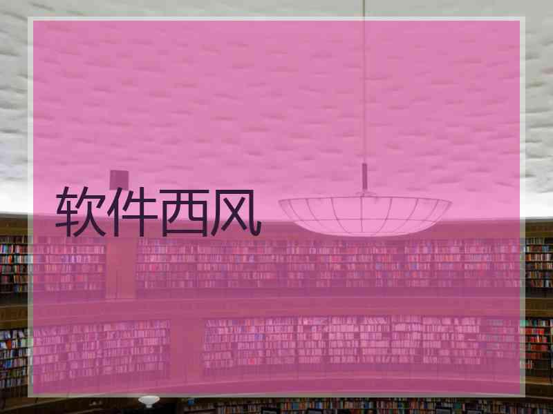 软件西风