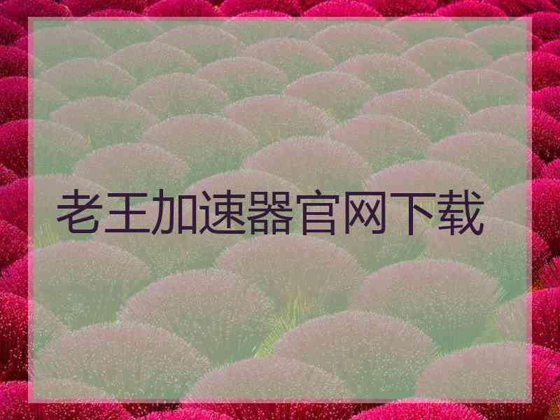老王加速器官网下载
