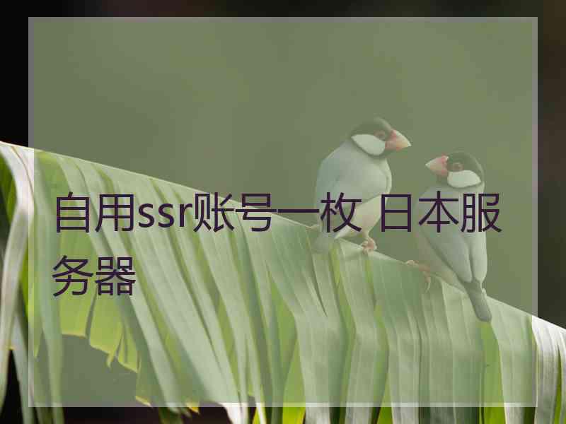 自用ssr账号一枚 日本服务器