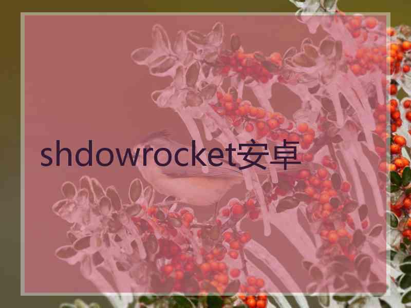 shdowrocket安卓