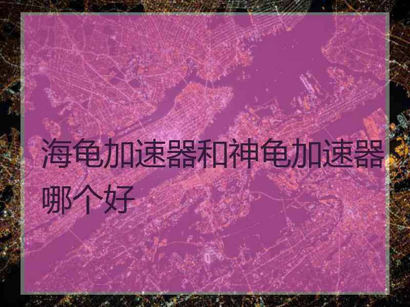 海龟加速器和神龟加速器哪个好