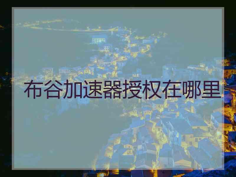 布谷加速器授权在哪里