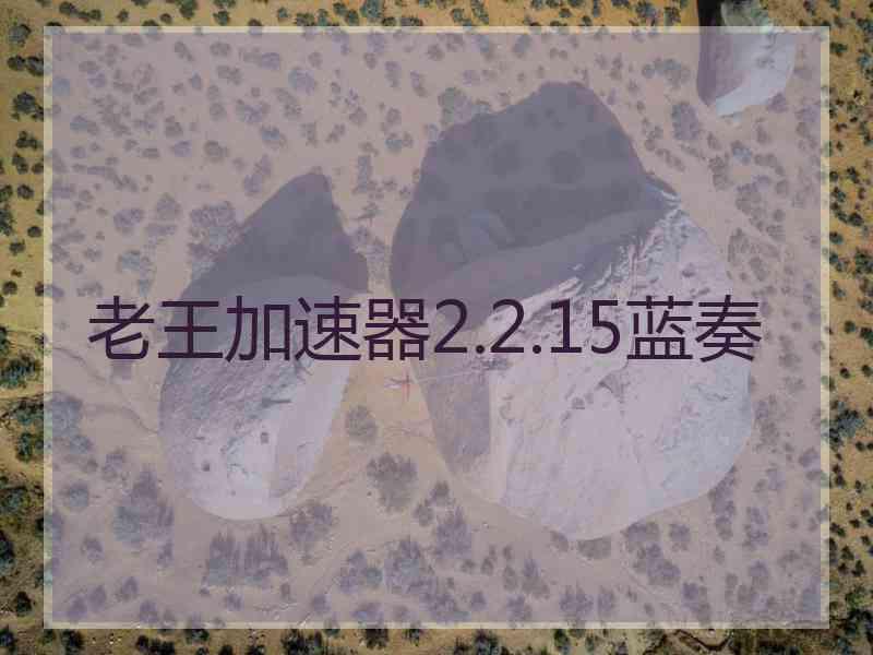 老王加速器2.2.15蓝奏