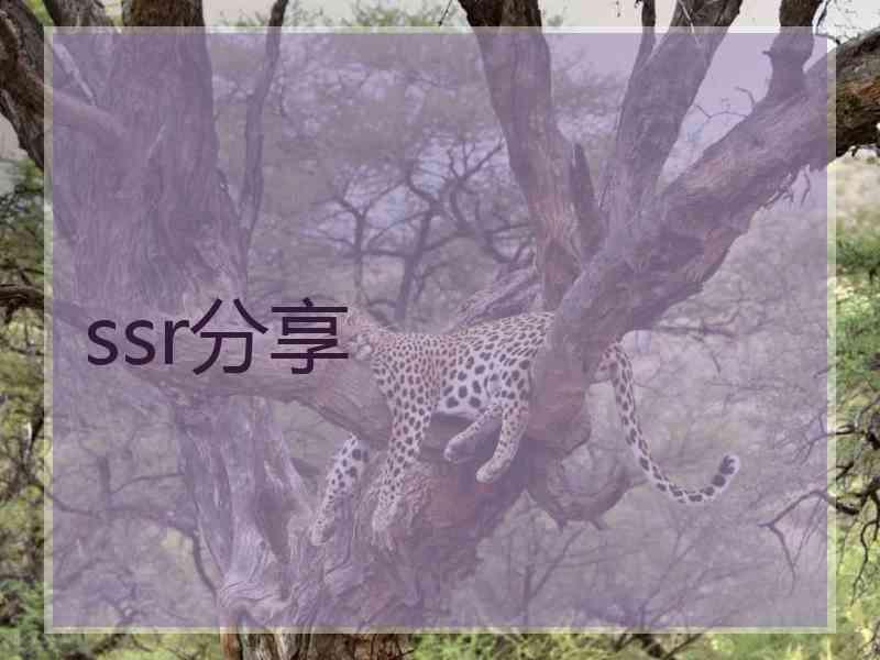 ssr分享