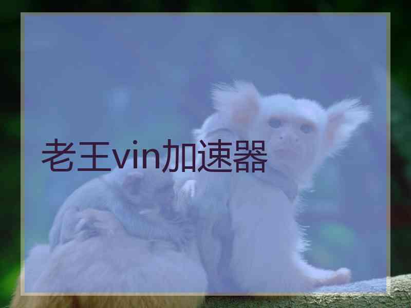 老王vin加速器