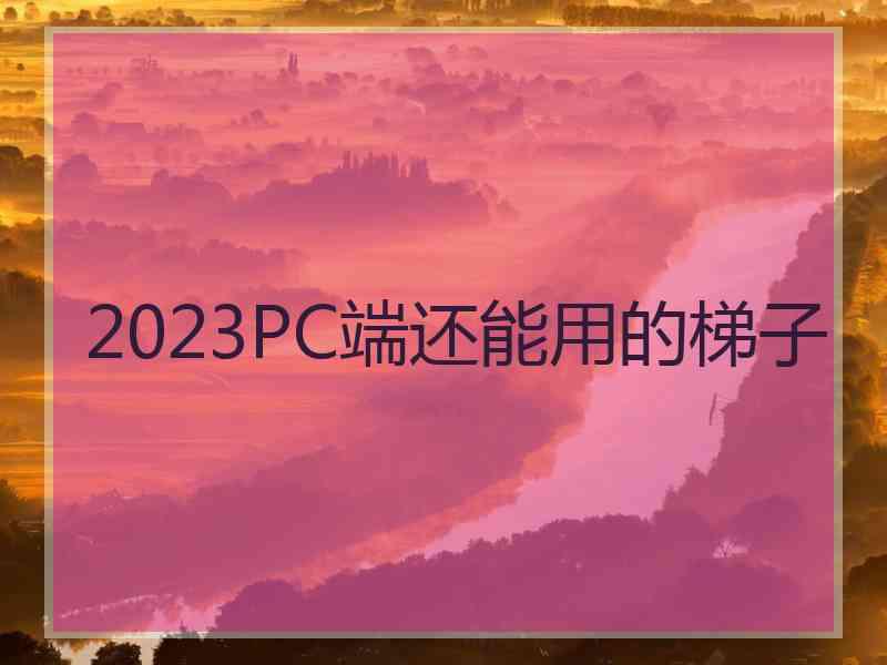 2023PC端还能用的梯子