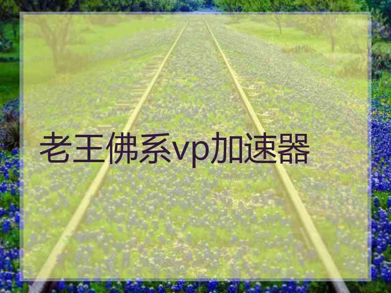 老王佛系vp加速器
