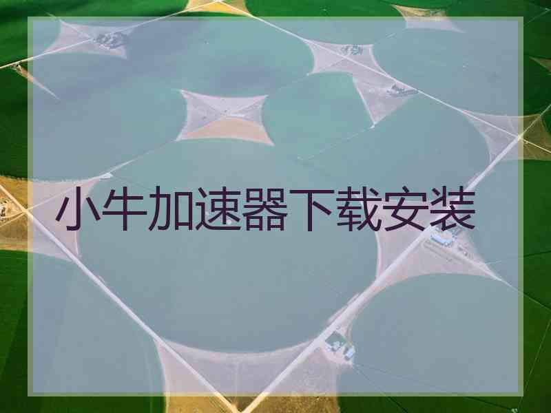 小牛加速器下载安装