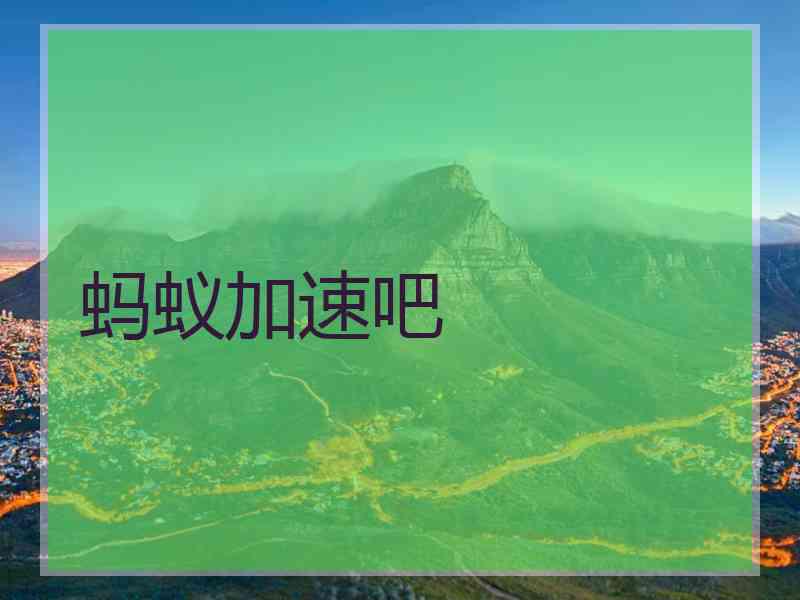 蚂蚁加速吧