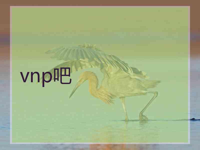 vnp吧