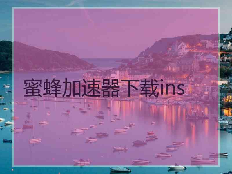 蜜蜂加速器下载ins