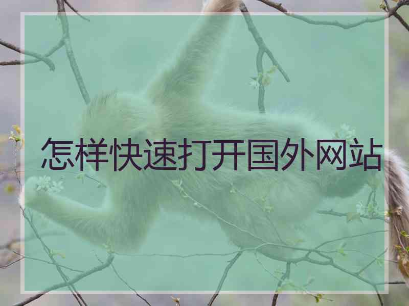 怎样快速打开国外网站