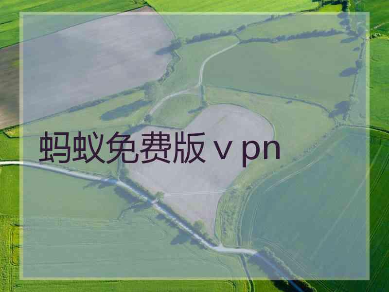 蚂蚁免费版ⅴpn